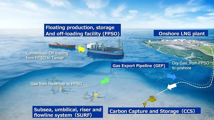 Proyek Strategis Blok Masela Masuk Fase Kritis, Target Onstream 2029 Jadi Penentu Ketahanan Gas Nasional